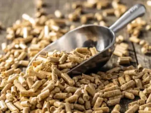 woodpellet
